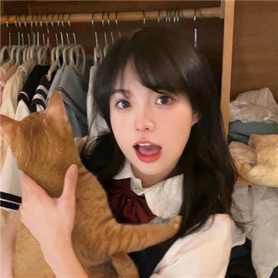 中华熊猫