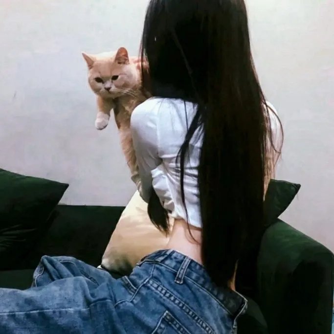 当哈维遇见鲍勃