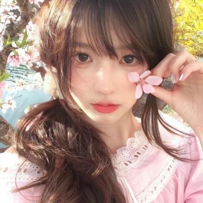 西部战线